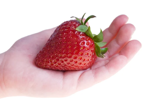 One strawberry in hand, isolated on white — Stock Photo, Image