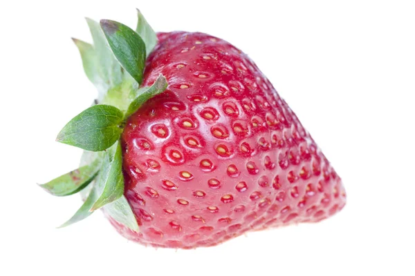 1 딸기 흰색 절연 — 스톡 사진