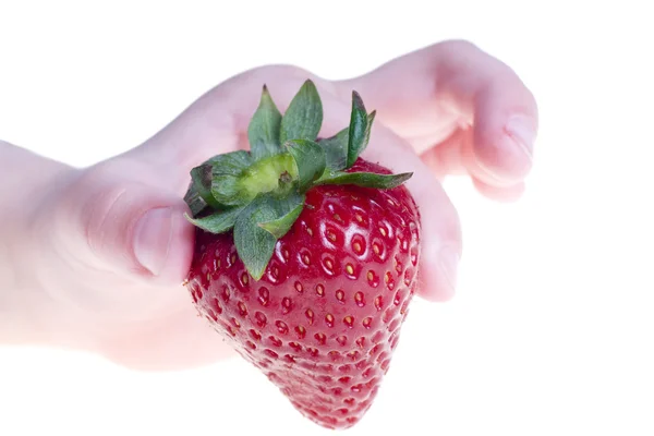 Μία φράουλα στο χέρι, που απομονώνονται σε λευκό — Φωτογραφία Αρχείου