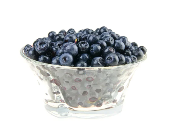 Blueberry close up isolated — Stock Photo, Image