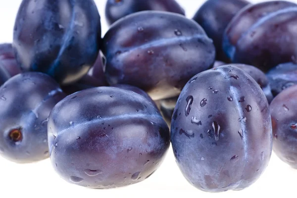 Stack of blue plums isolated — Stock Photo, Image