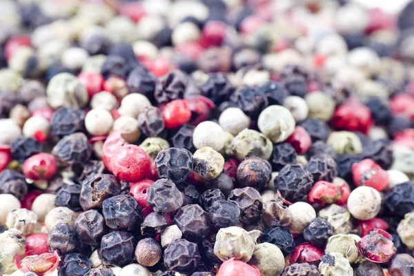 Color peppercorns close up — Stock Photo, Image