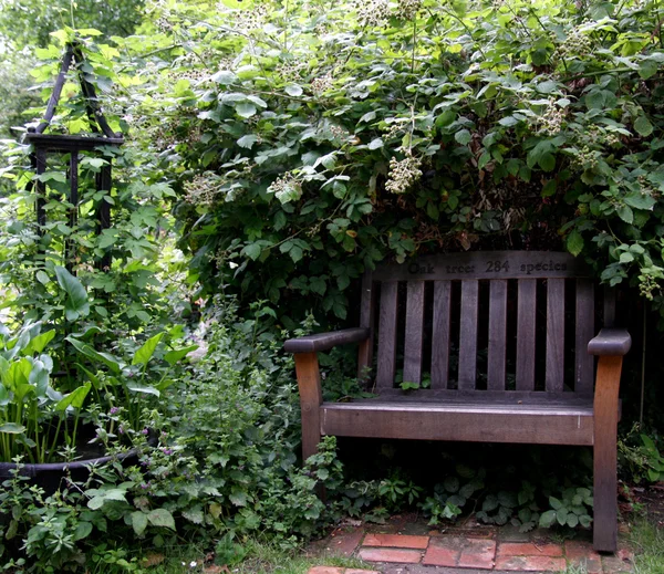 Parková lavička pod zarostlé bush — Stock fotografie