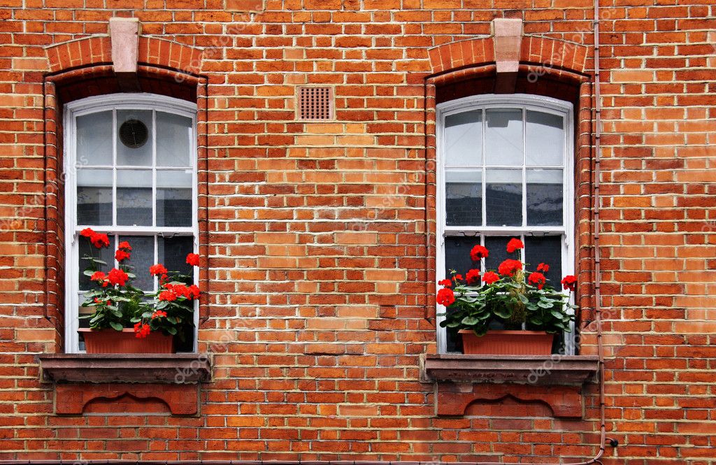 Cajas de ventana — Fotos de Stock © jahina #6214891