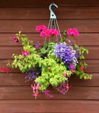 Hanging basket of flowers with wooden background clipart