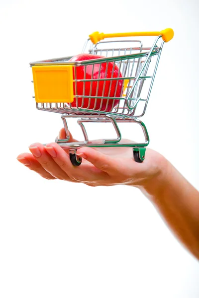 Cart from the supermarket — Stock Photo, Image
