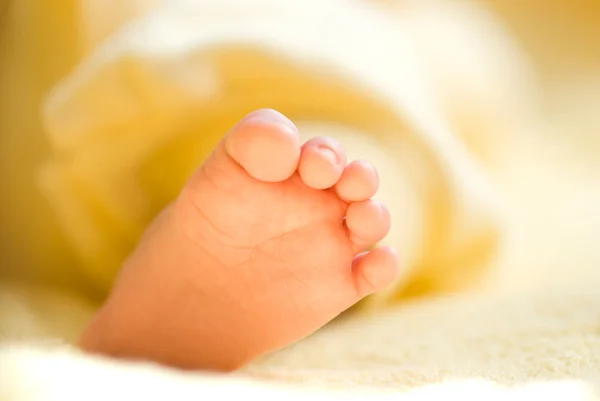Lovely infant foot — Stock Photo, Image