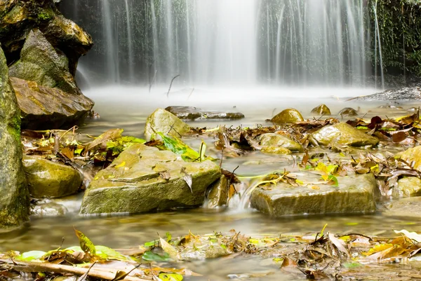 Маленький водопад в лесу — стоковое фото