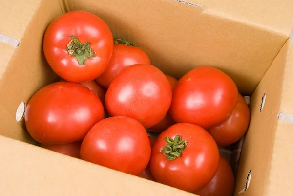 Свежие помидоры в бумажной коробке — стоковое фото