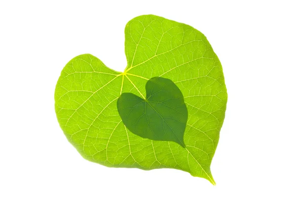 Naturalny liść z para serce wzór — Zdjęcie stockowe