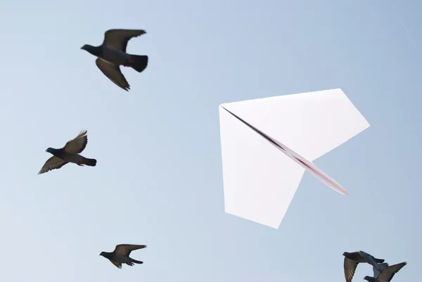 Avión de papel volando con aves — Foto de Stock
