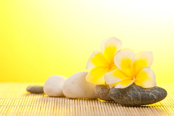 Leelawadee Blume und Kieselsteine auf Bambus-Hintergrund — Stockfoto