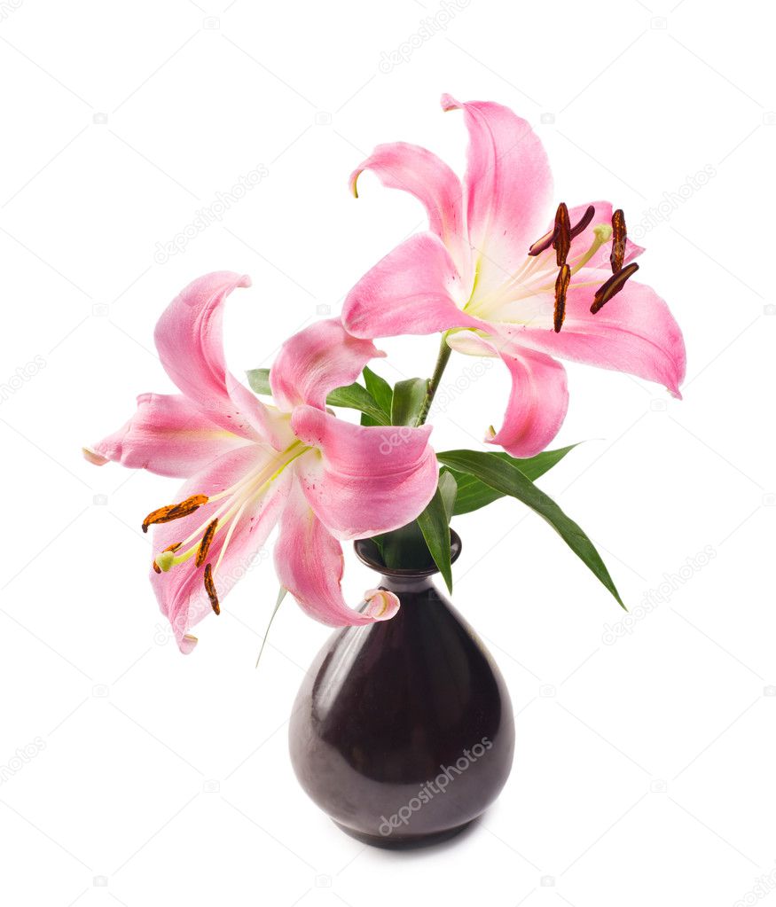 Pink lily in black pottery vase