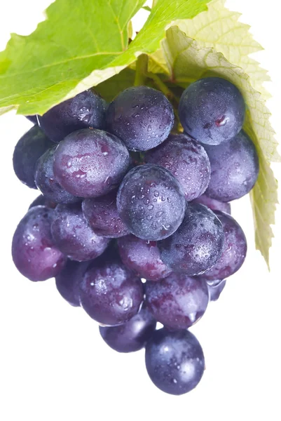 新鲜葡萄和绿叶 — 图库照片