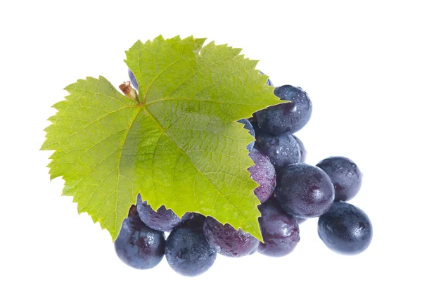 Färska druvor och gröna blad — Stockfoto