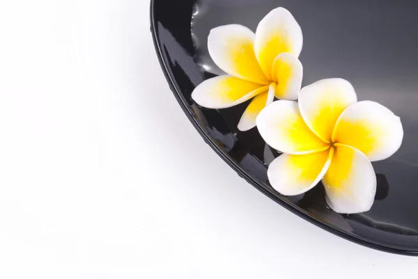 リーラワディー水の花 — ストック写真