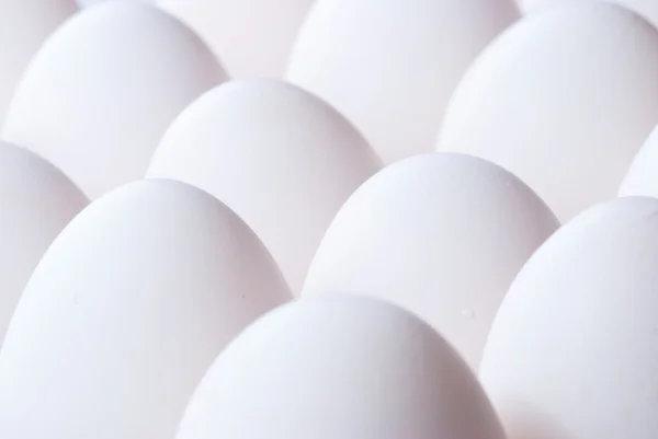 Gruppe von Eiern — Stockfoto