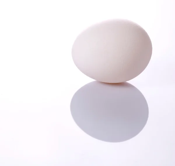 Białe jajko z odbiciem — Zdjęcie stockowe
