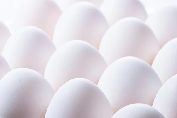 Skupina vajec — Stock fotografie