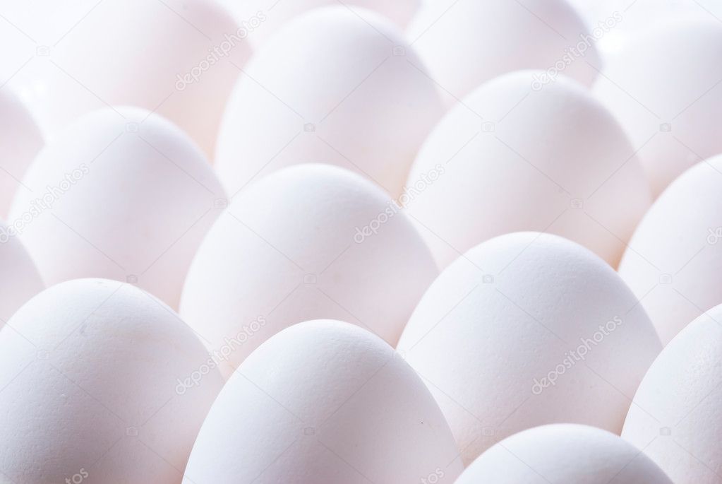 Group of eggs
