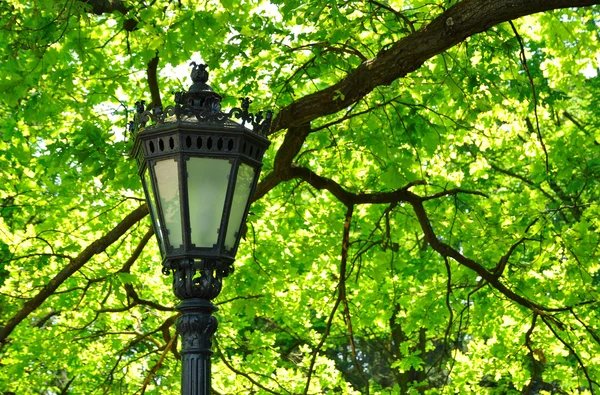 Retro lampa under trädet — Stockfoto