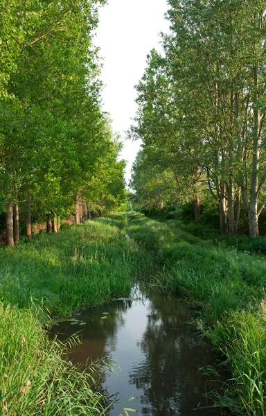 Potoku między dwie drogi w pobliżu miejscowości Sziglihet nad brzegiem jeziora balaton, Węgry — Zdjęcie stockowe