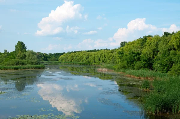 stock image Landscape of Little-Balaton, Hungary