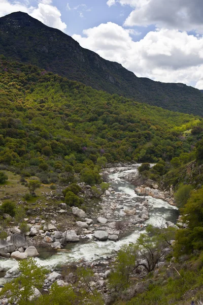 Stock image Mountain River