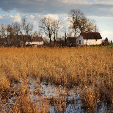 Rural landscape and Farm House clipart