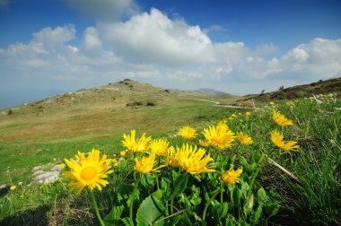 Jahorina Mountain landscape clipart