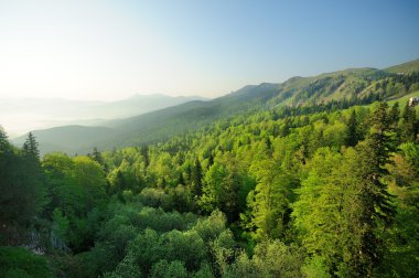 Jahorina dağ manzarası