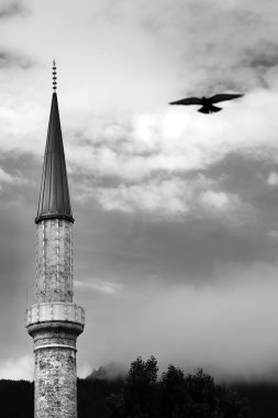 Sarajevo- Ferhadija Mosque clipart
