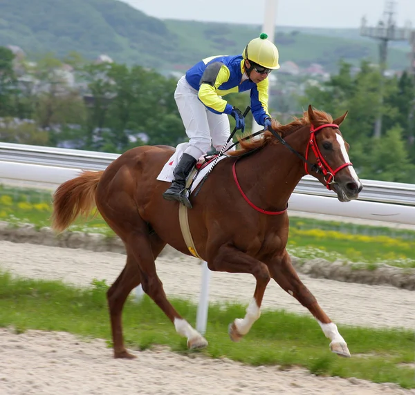 Paard jockey uitgevoerd op race. — Stockfoto