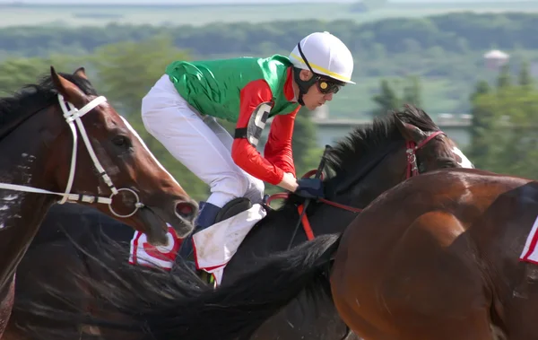 Jockeys i full galopp — Stockfoto