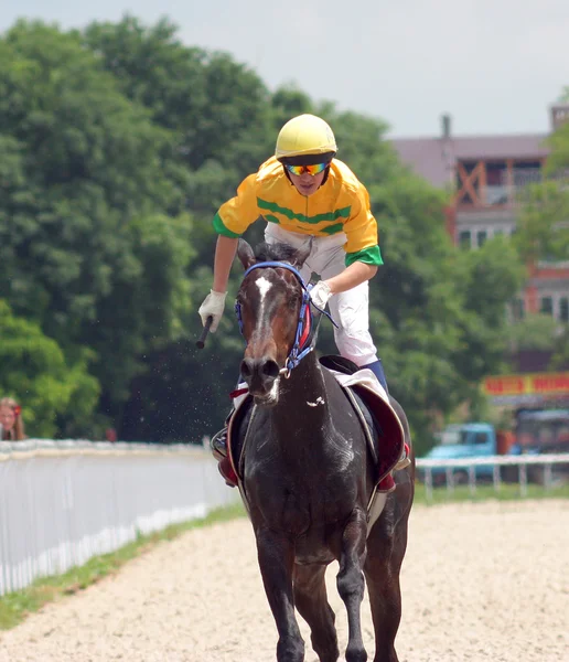 Häst jockey kör på ras. — Stockfoto