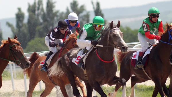 Horse racing. — Stock Photo, Image