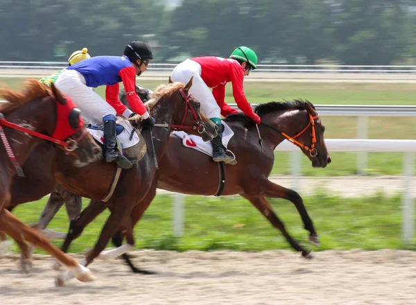 Horse racing. Stock Photo
