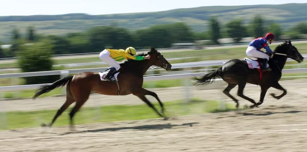 Horse racing. — Stock Photo, Image