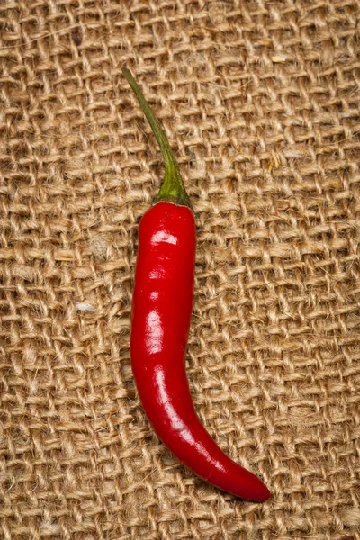 红辣椒和青椒 — 图库照片