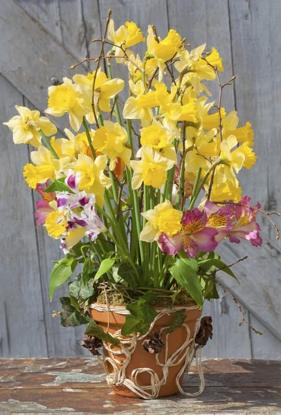 Układ wiosną żonkile w garnku ceramiczne — Zdjęcie stockowe
