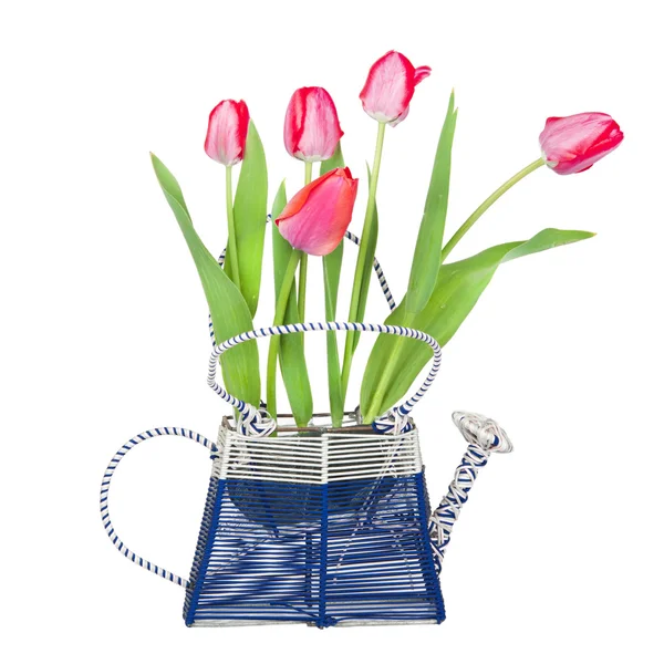 Een boeket van tulpen in een vaas — Stockfoto