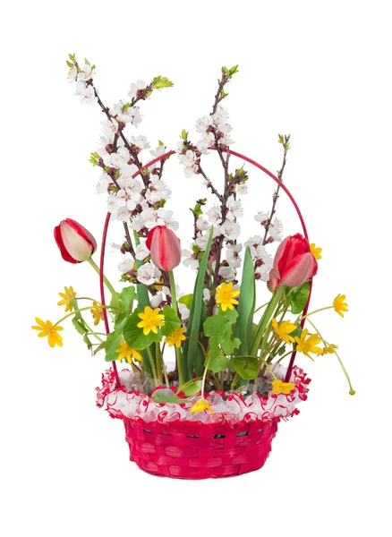 Un ramo de tulipanes, ranúnculos y flores de albaricoque — Foto de Stock