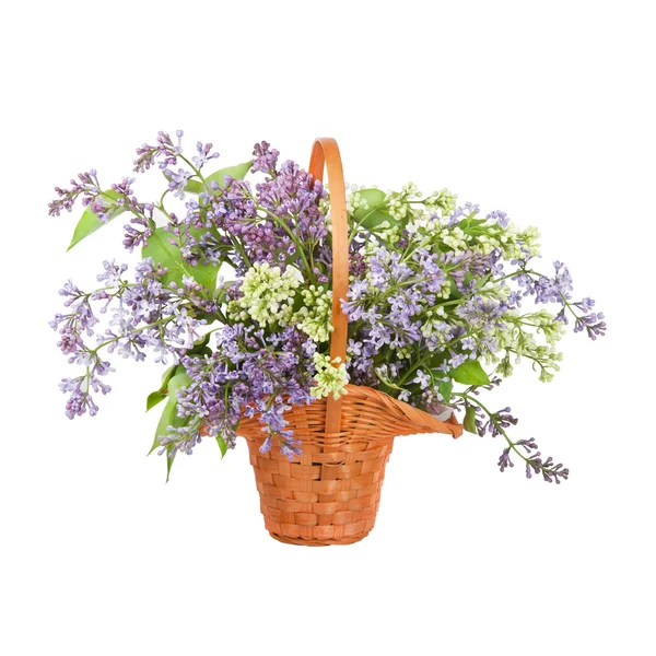 Lilac Bouquet — Stock Photo, Image