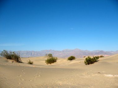 kum tepeleri death valley california