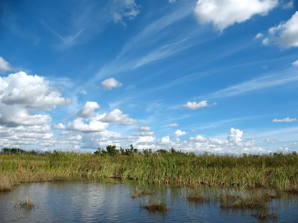 Everglages Florida — Stockfoto