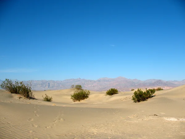 Sand dunes Death Valley California — Stock Photo, Image