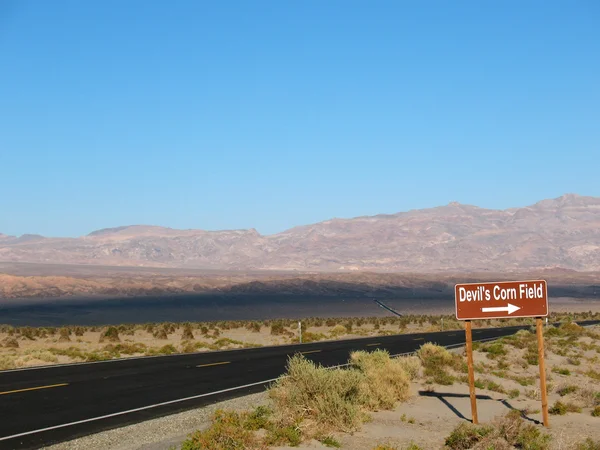 Devils Corn Field Death Valley California — Stock Photo, Image