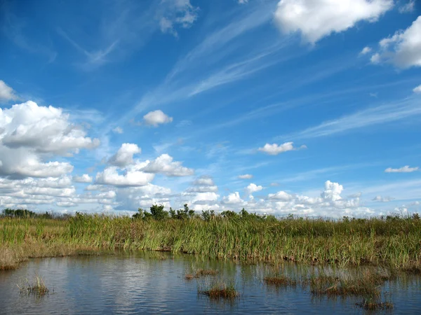 Everglages 佛罗里达州 免版税图库图片