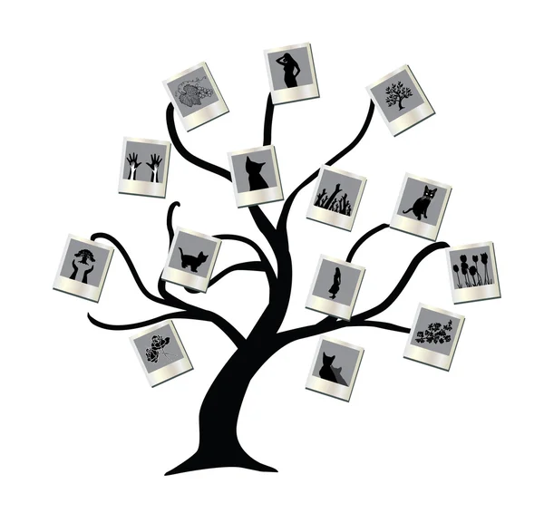 Foto strom — Stockový vektor