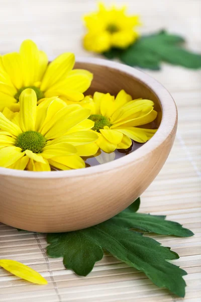 Ahşap kase sarı çiçek — Stok fotoğraf